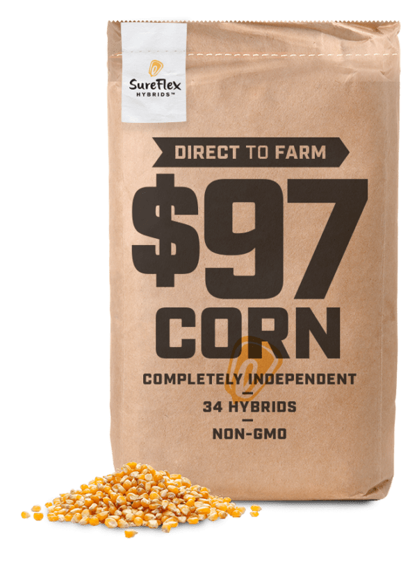 Hybrid Seed Corn